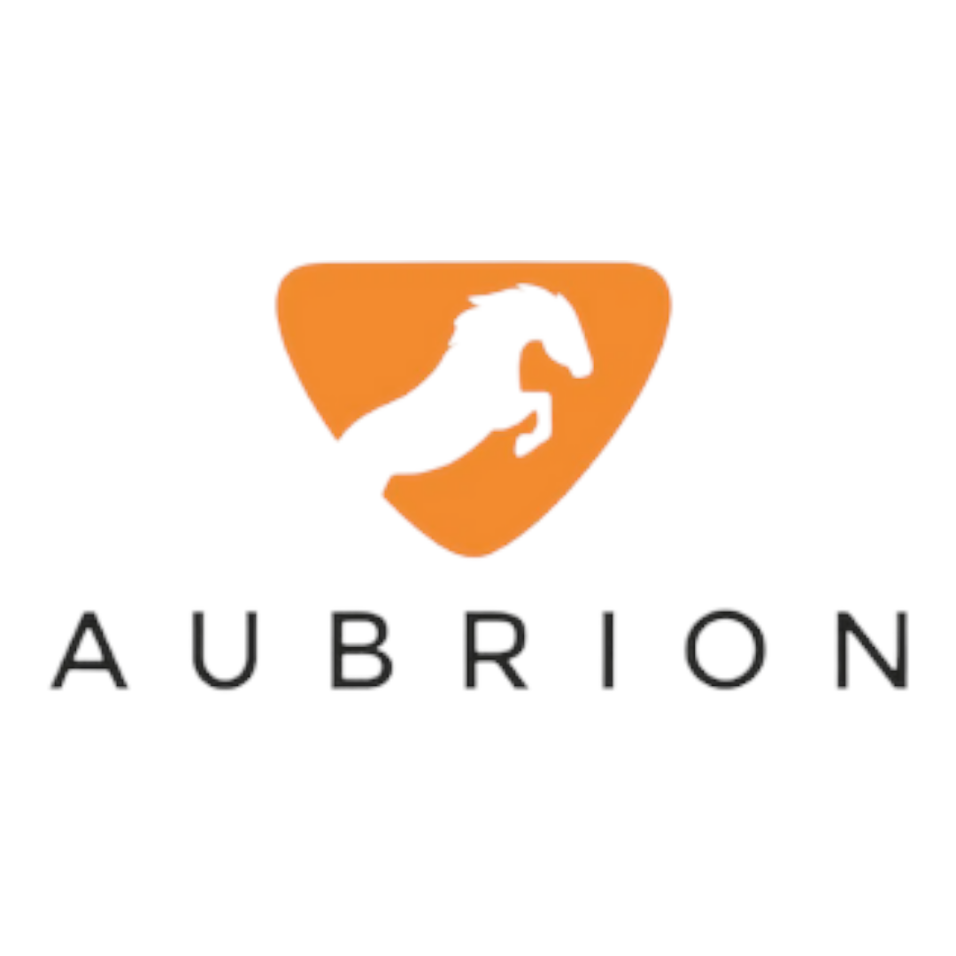 Aubrion Double Bridle Bag