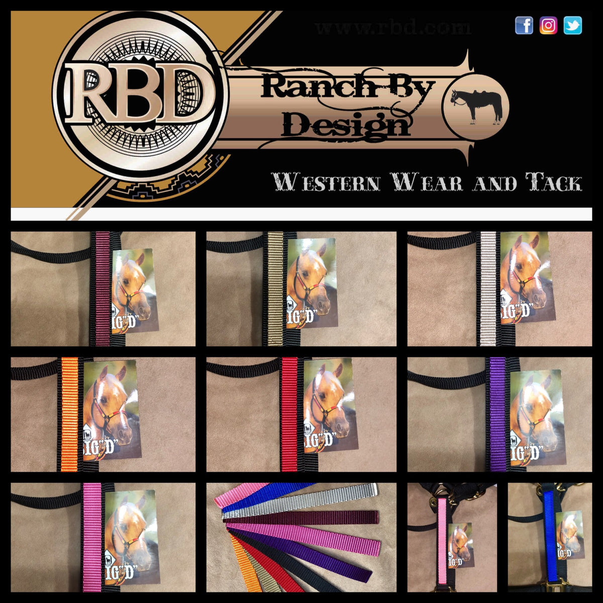 CUSTOM Big D Nylon Halters