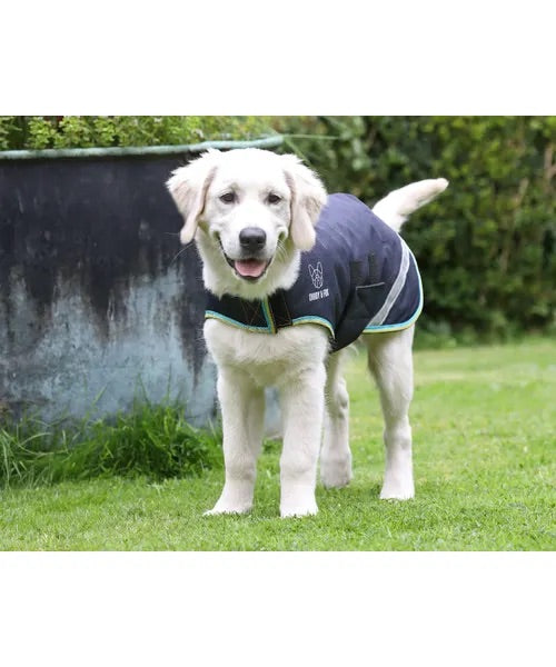 DIGBY & FOX WATERPROOF DOG COAT