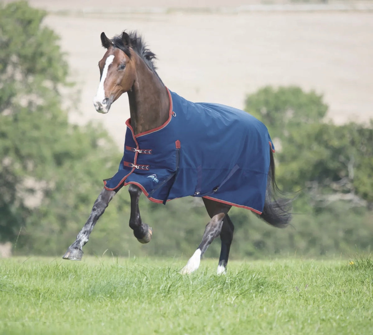 Shires - Highlander Plus 300 - NAVY