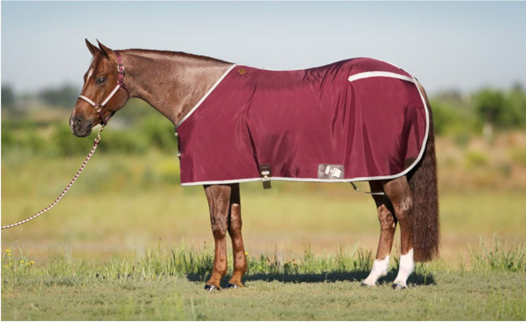 Big D Nylon Sheet - Standard Colors