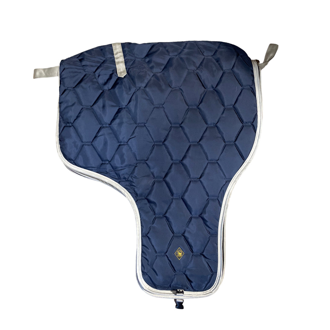 Big D Western Saddle Carrier