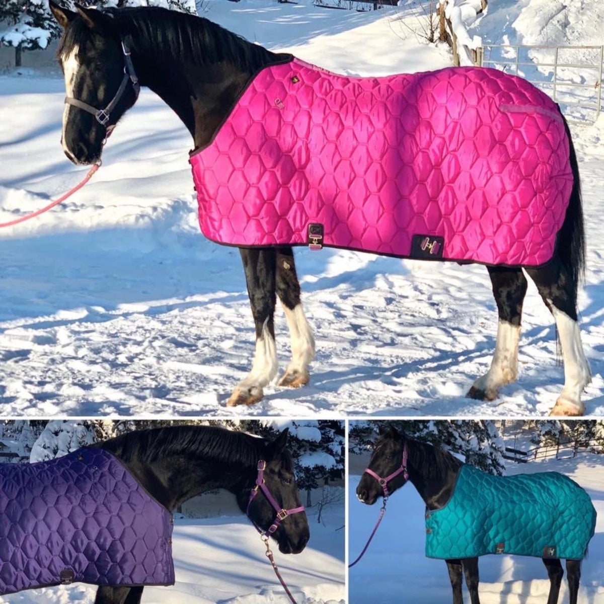 Big D All American Stable Blankets - CUSTOM