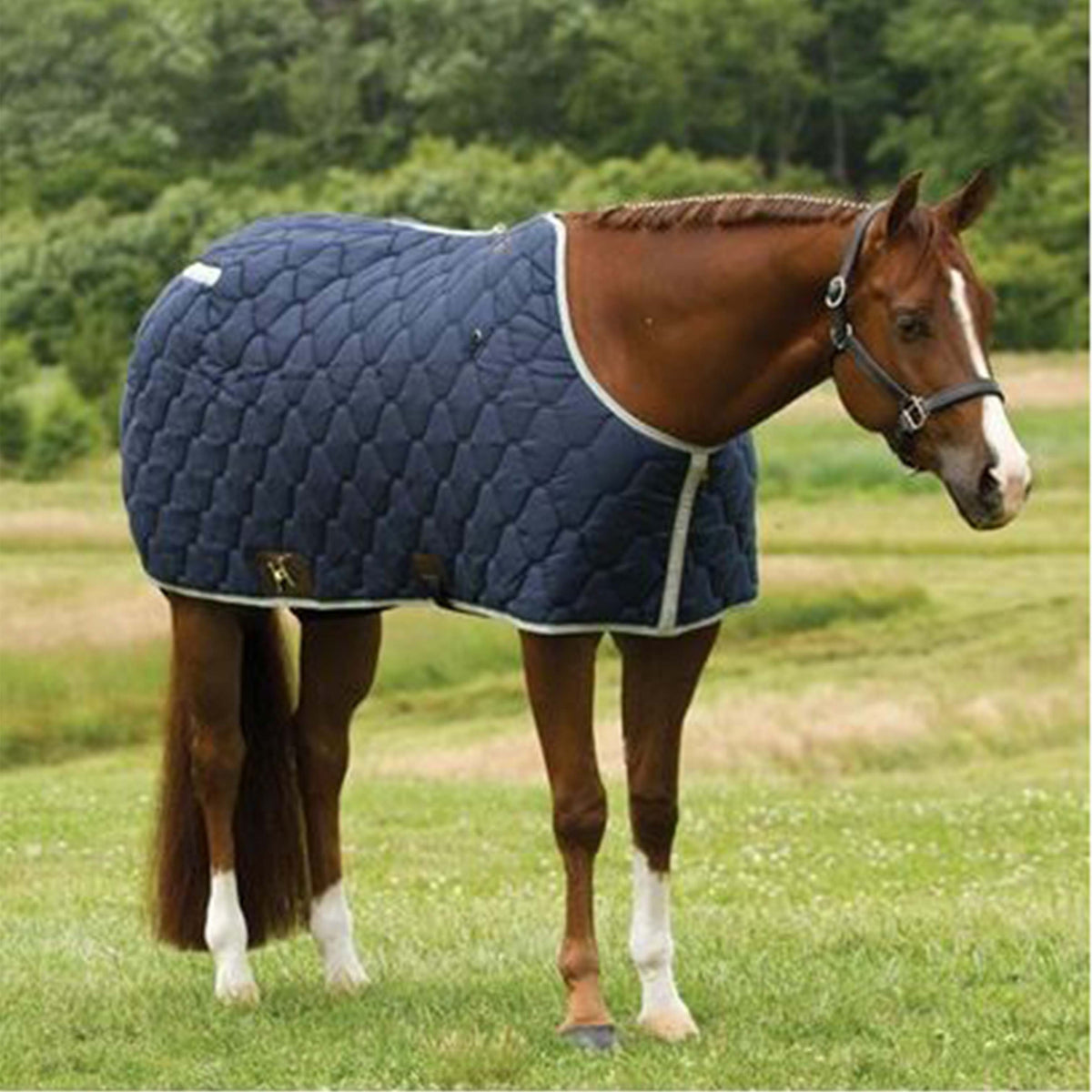 Big D All American Stable Blankets