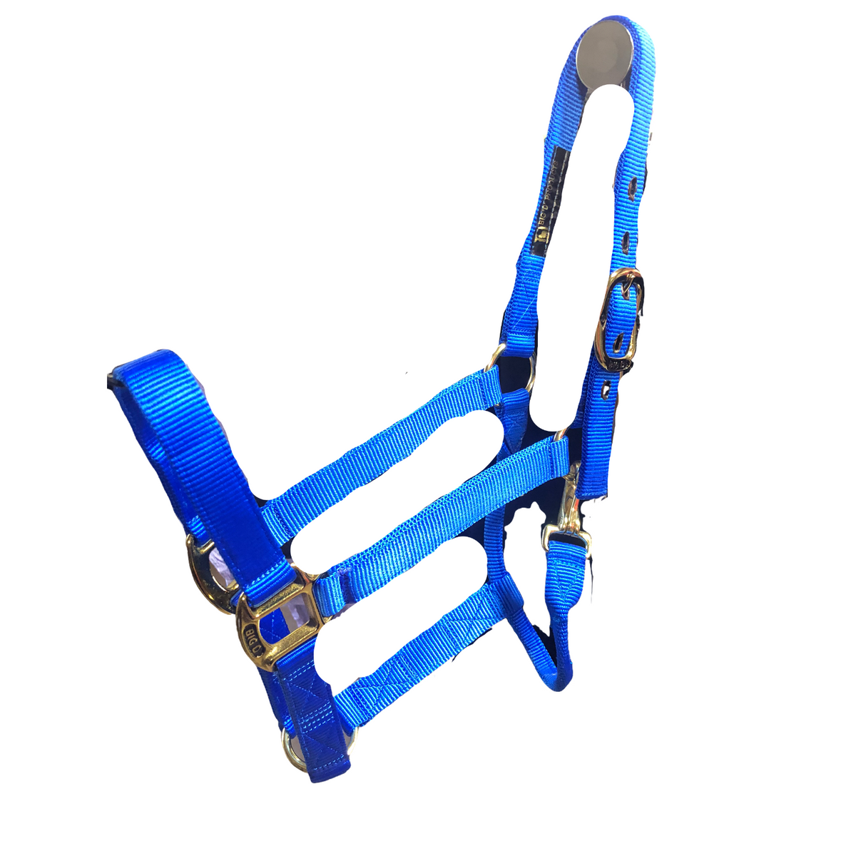 Big D Nylon Halters