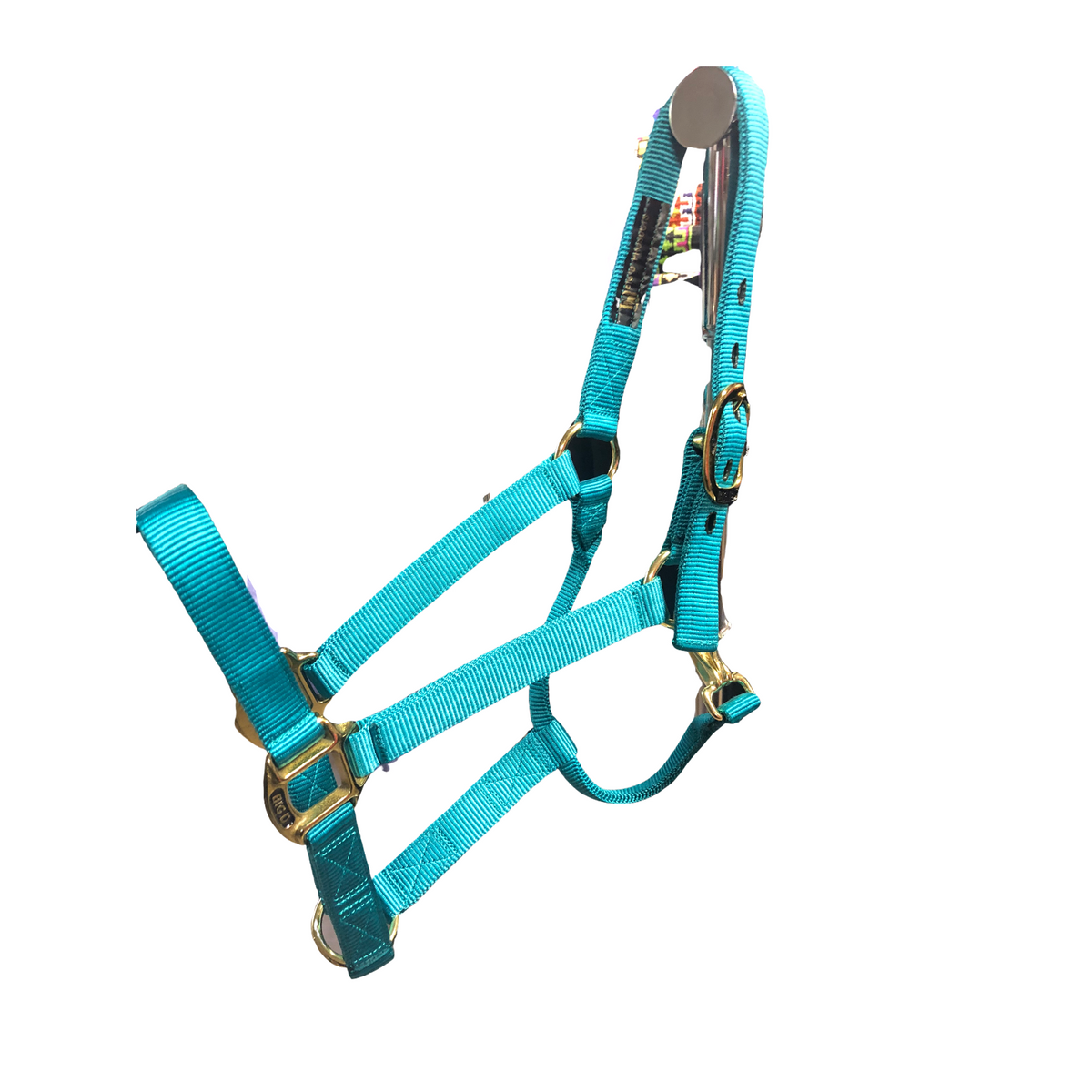 Big D Nylon Halters