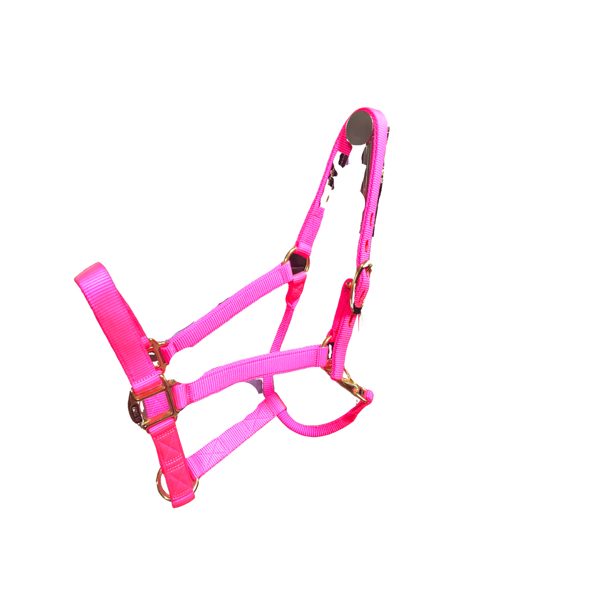 Big D Nylon Halters