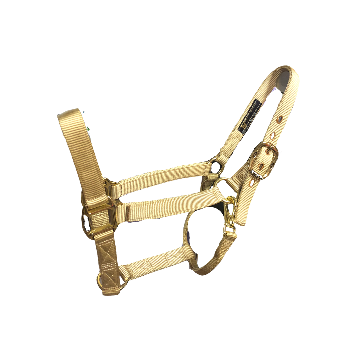 Big D Nylon Halters