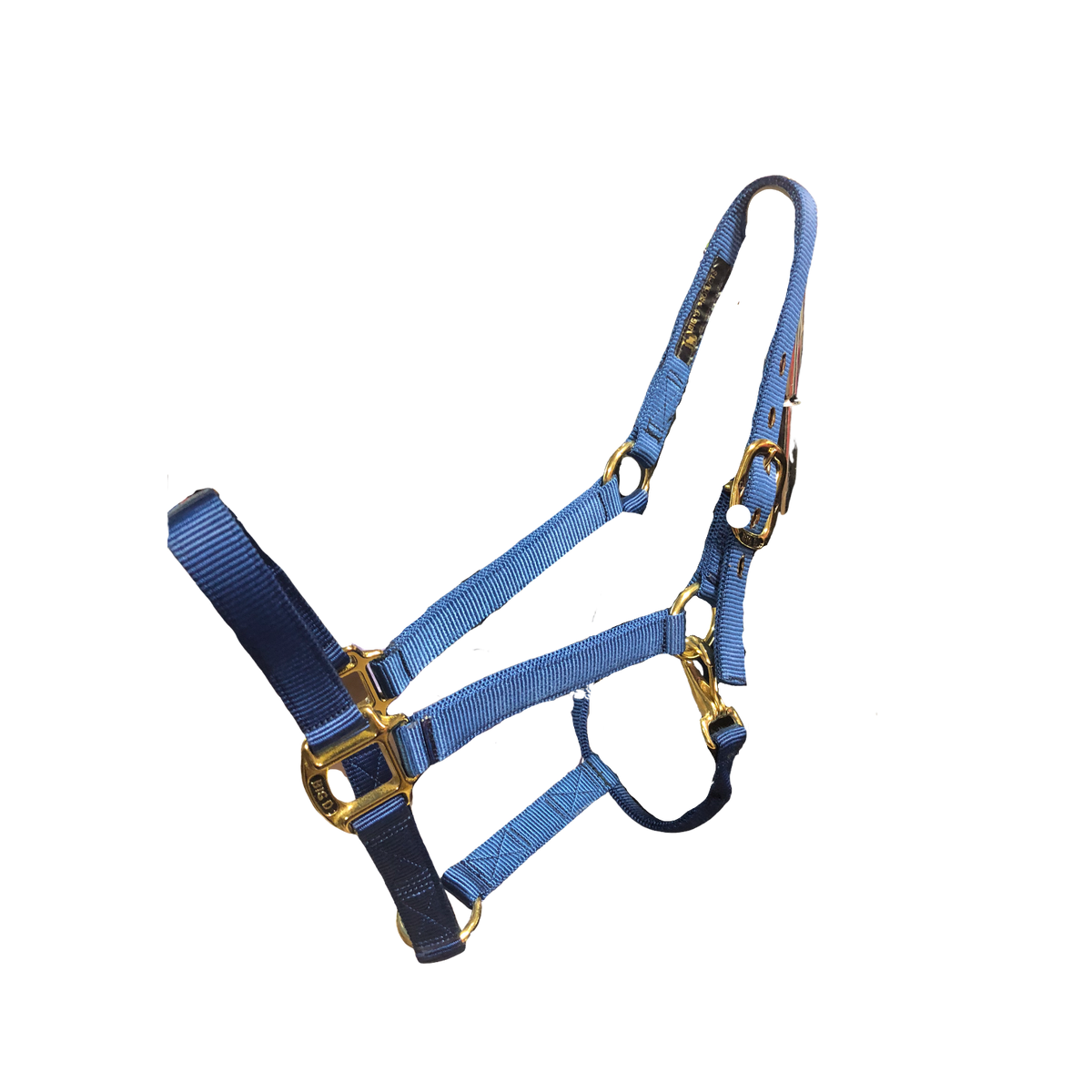 Big D Nylon Halters