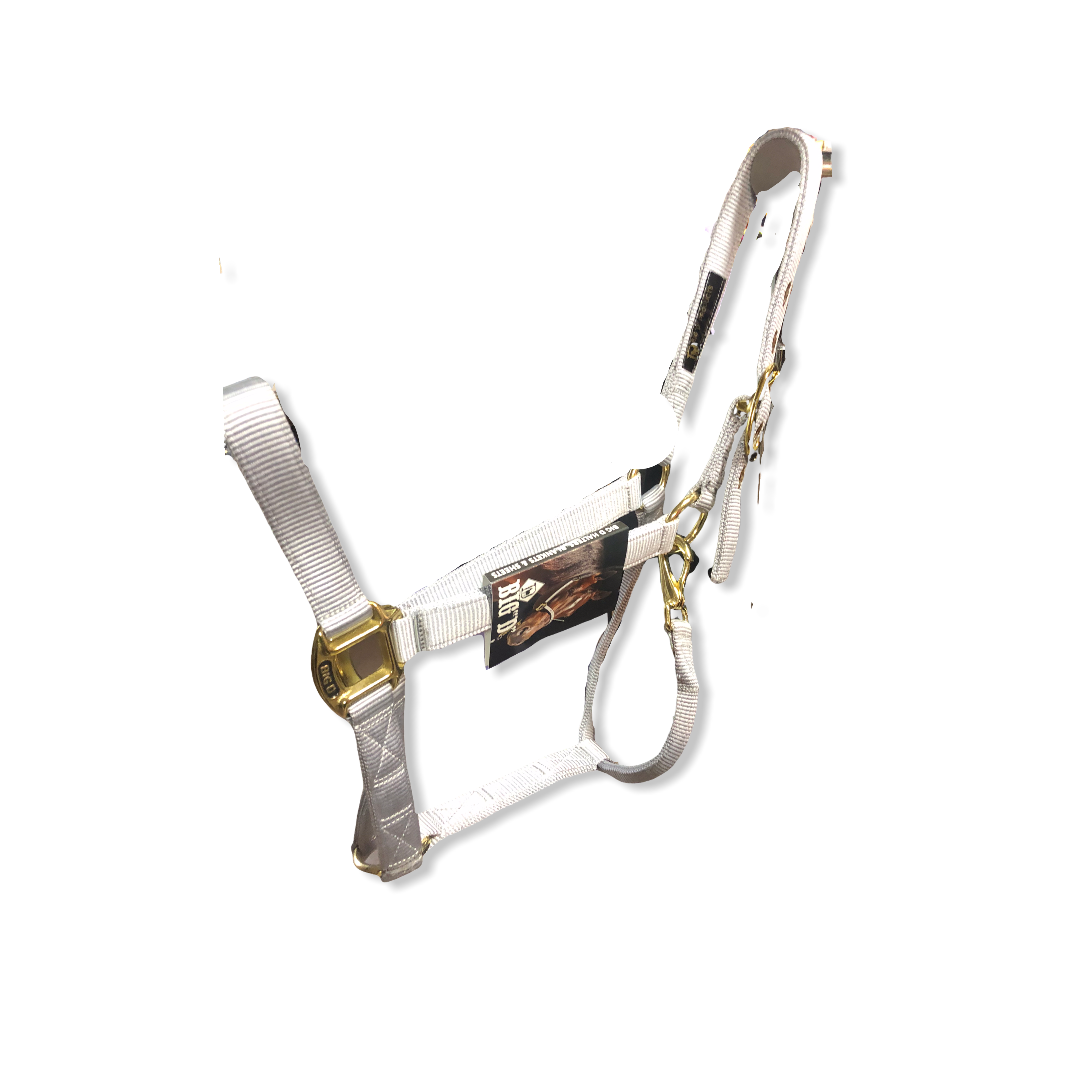 Big D Nylon Halters