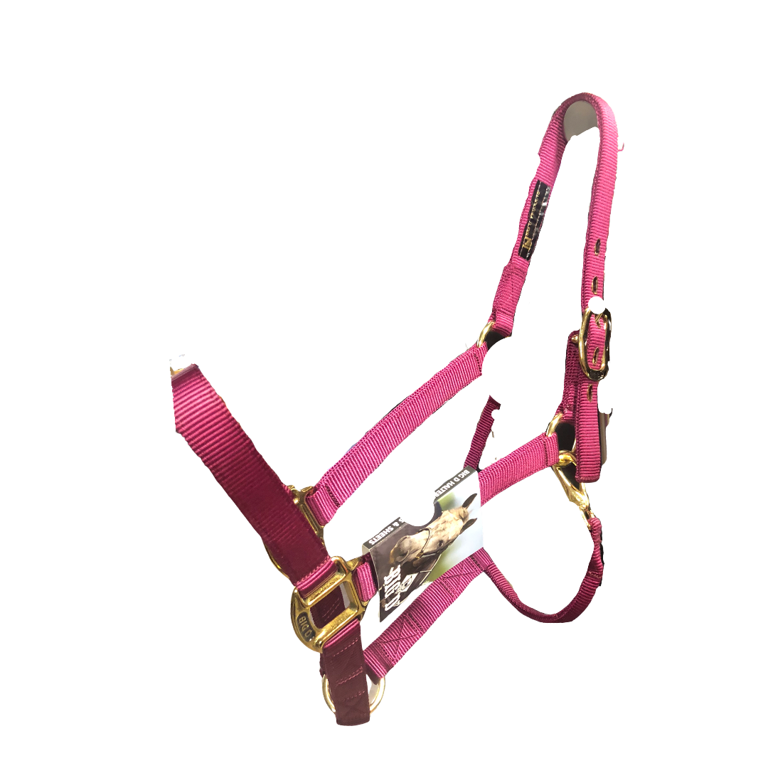 Big D Nylon Halters
