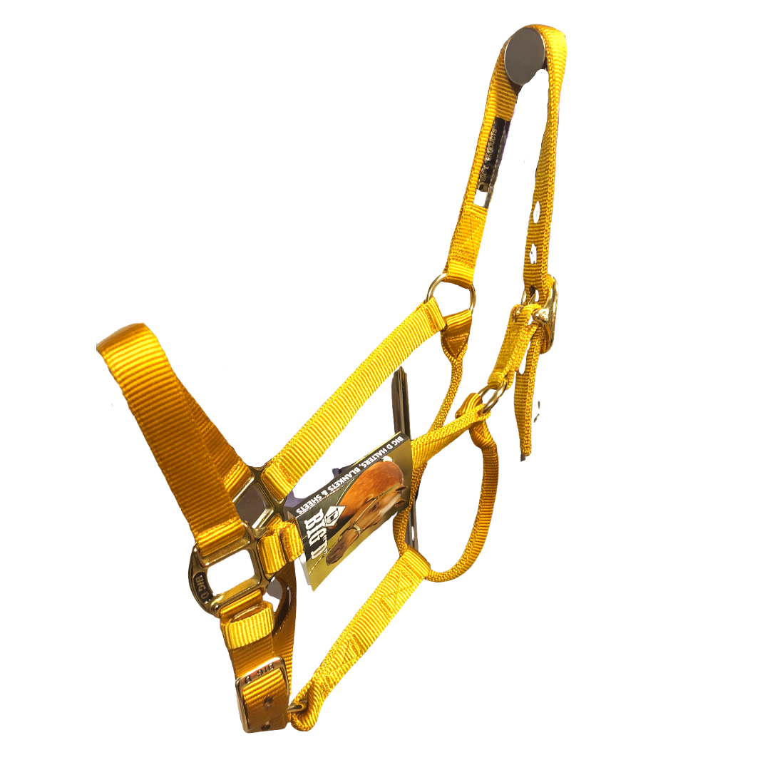 Big D Nylon Halters