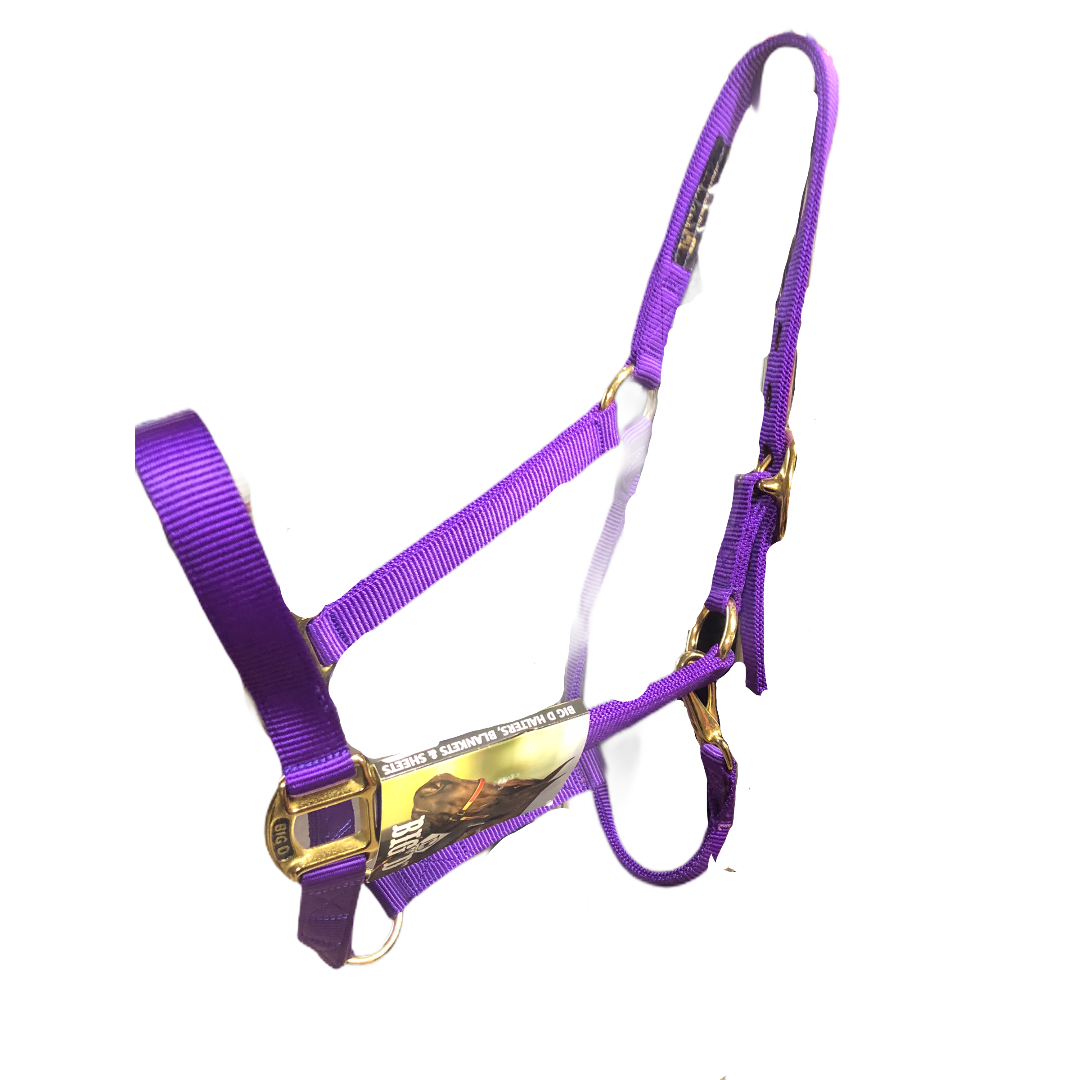 Big D Nylon Halters