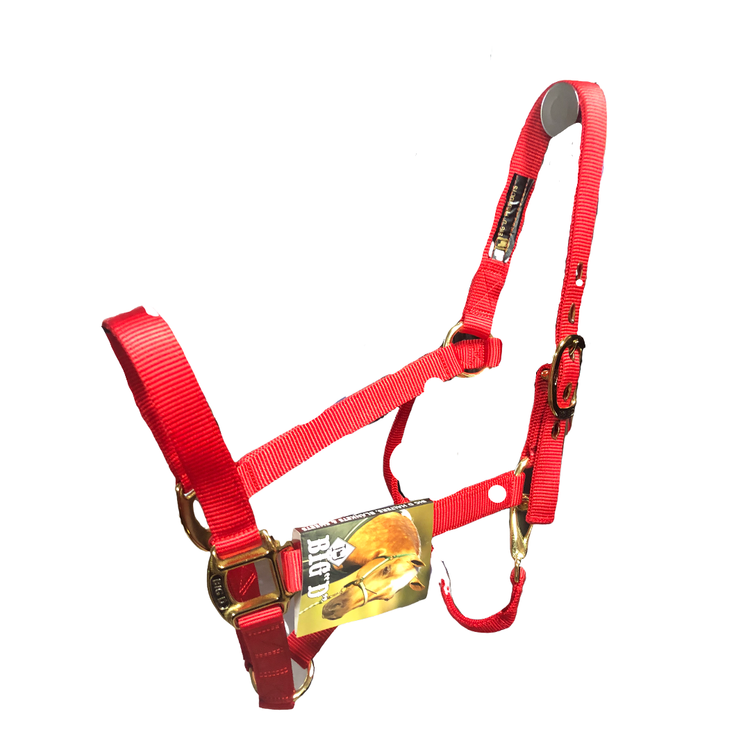 Big D Nylon Halters