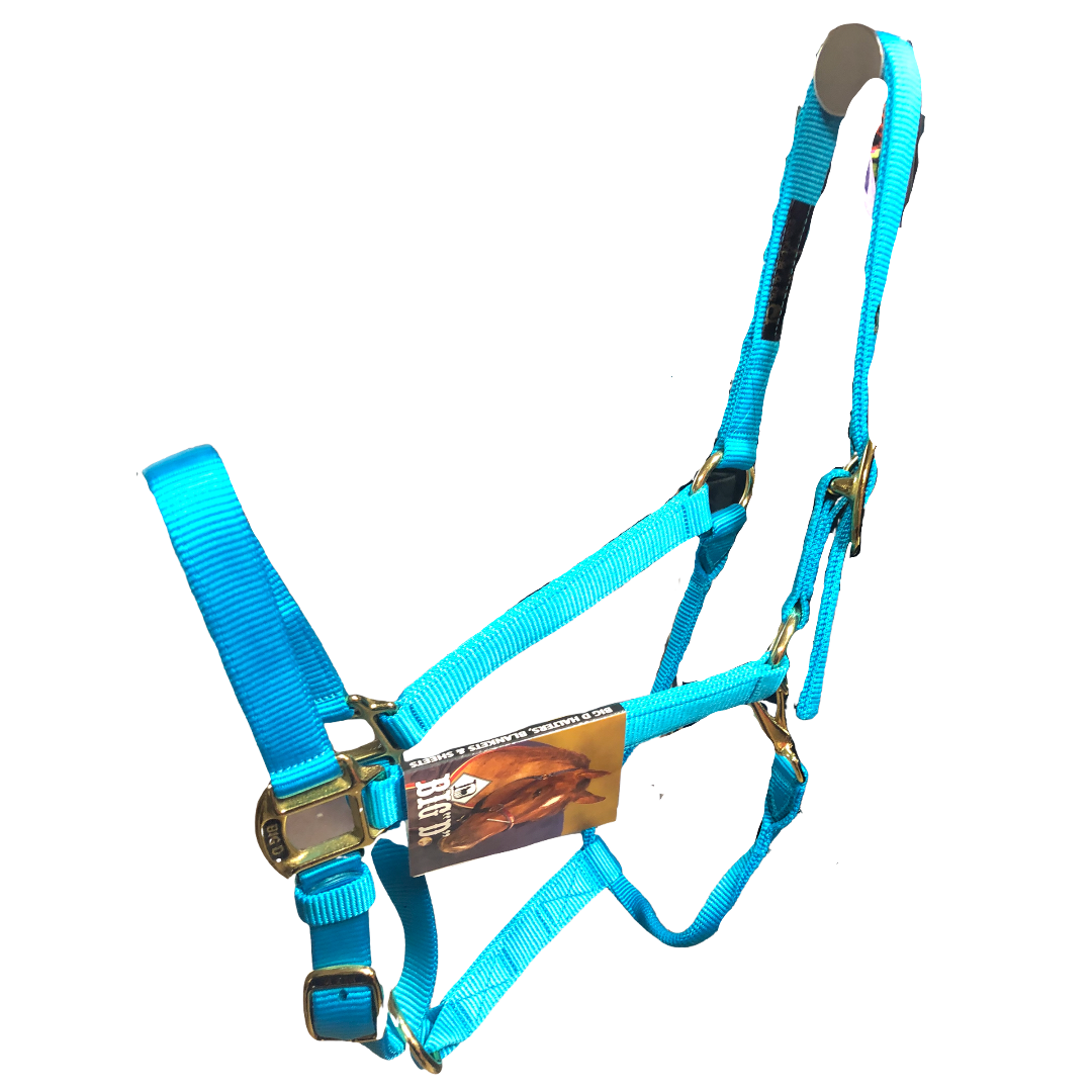Big D Nylon Halters