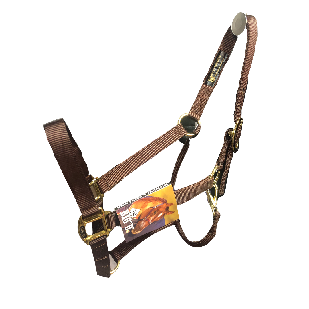 Big D Nylon Halters