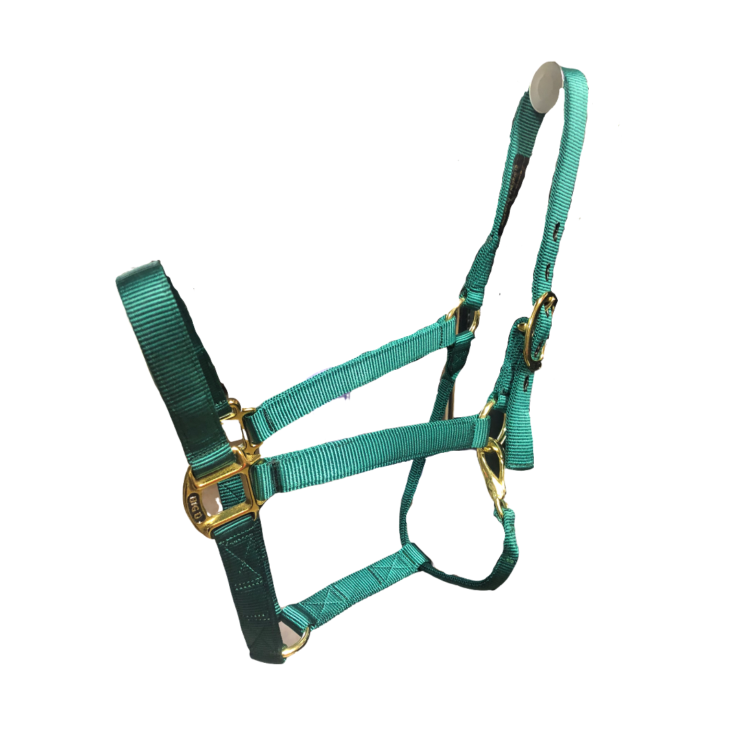 Big D Nylon Halters