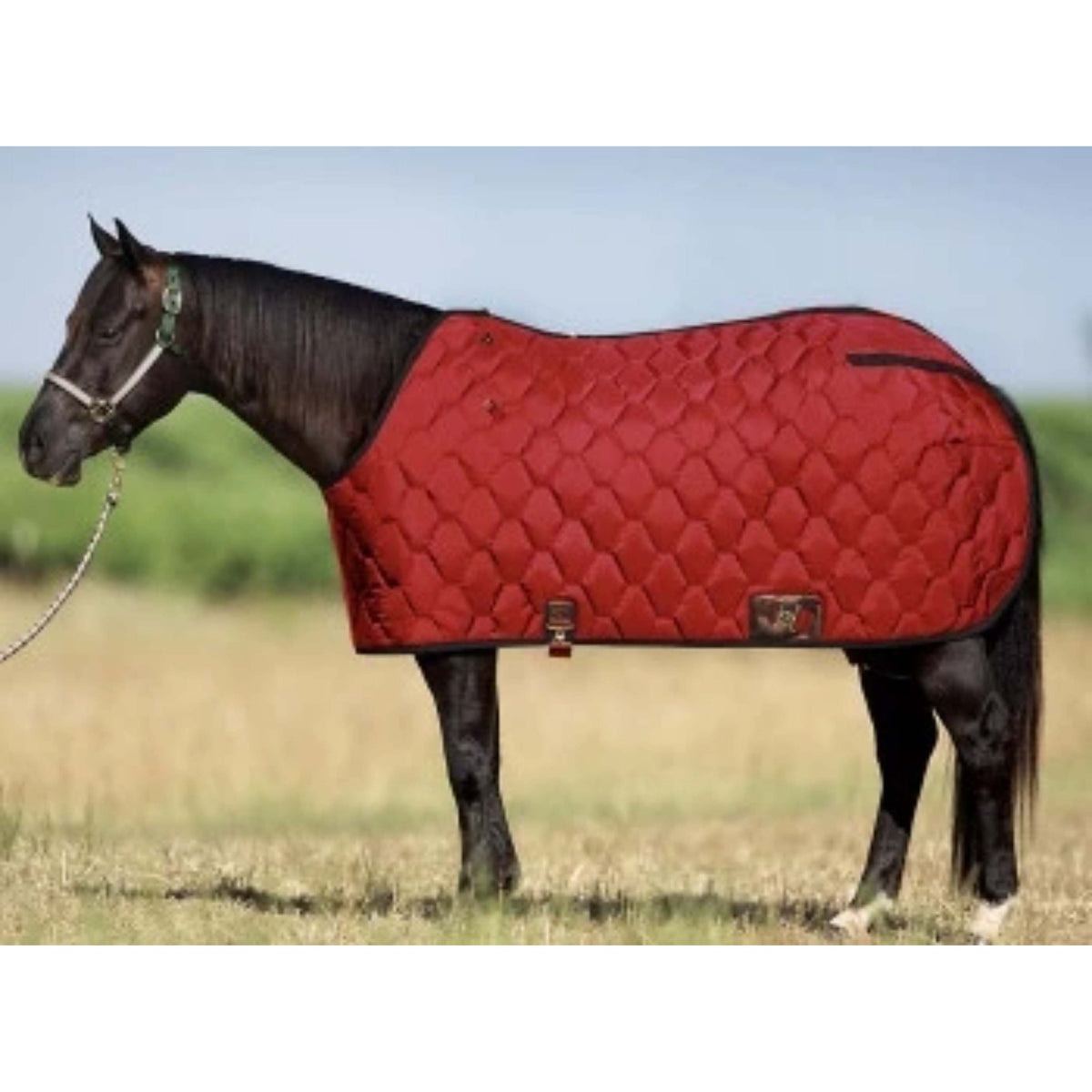 Big D All American Stable Blankets