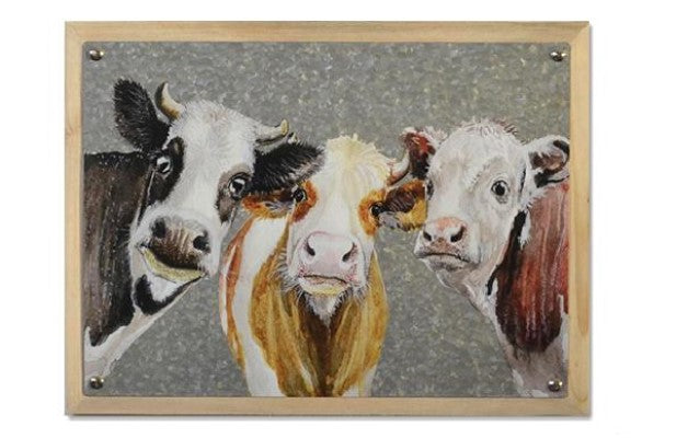 Cow Plaques