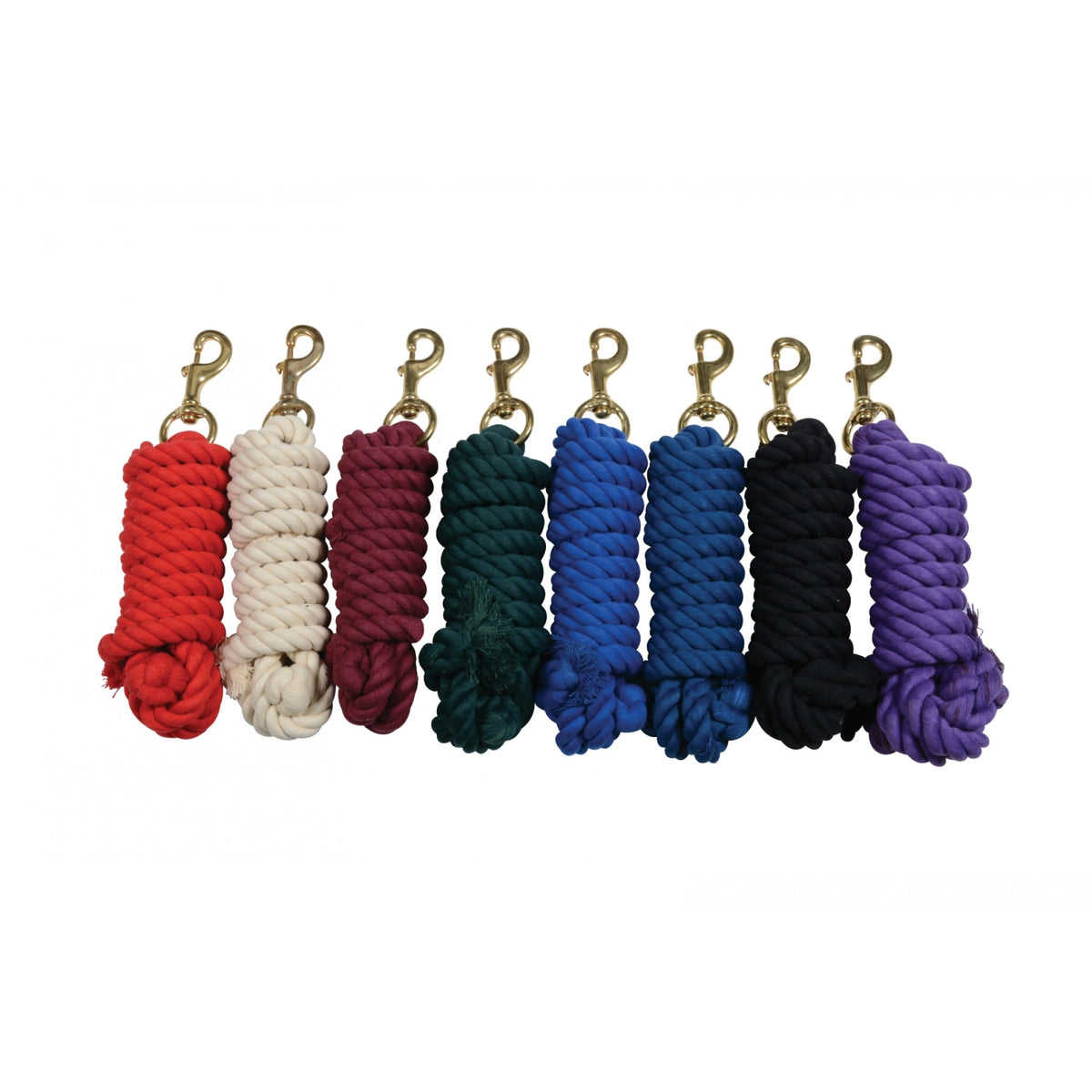 NYLON LEAD WITH SNAP 10'