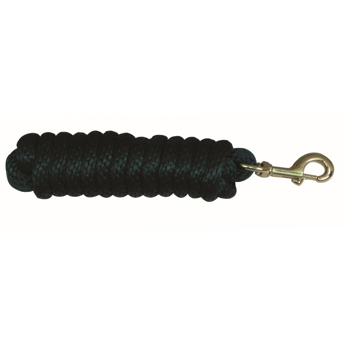 NYLON LEAD WITH SNAP 10'