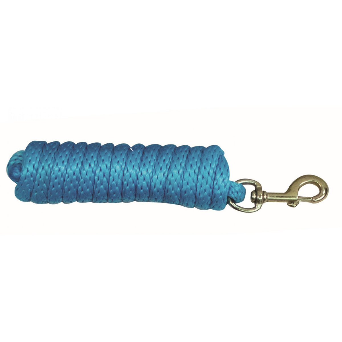 NYLON LEAD WITH SNAP 10'
