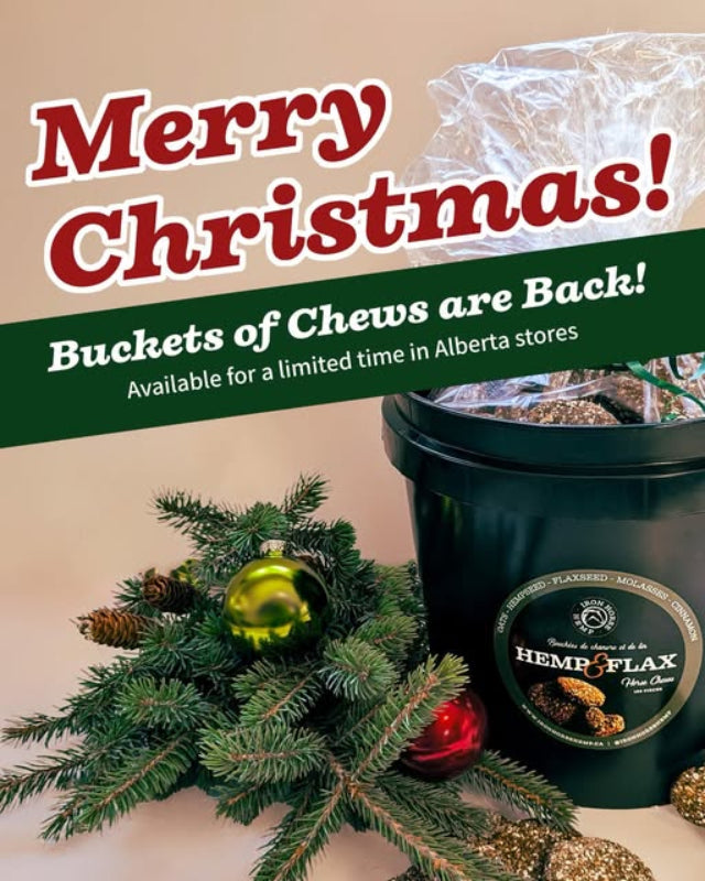 IRON HORSE HEMP AND FLAX CHEWS CHRISTMAS BUCKET