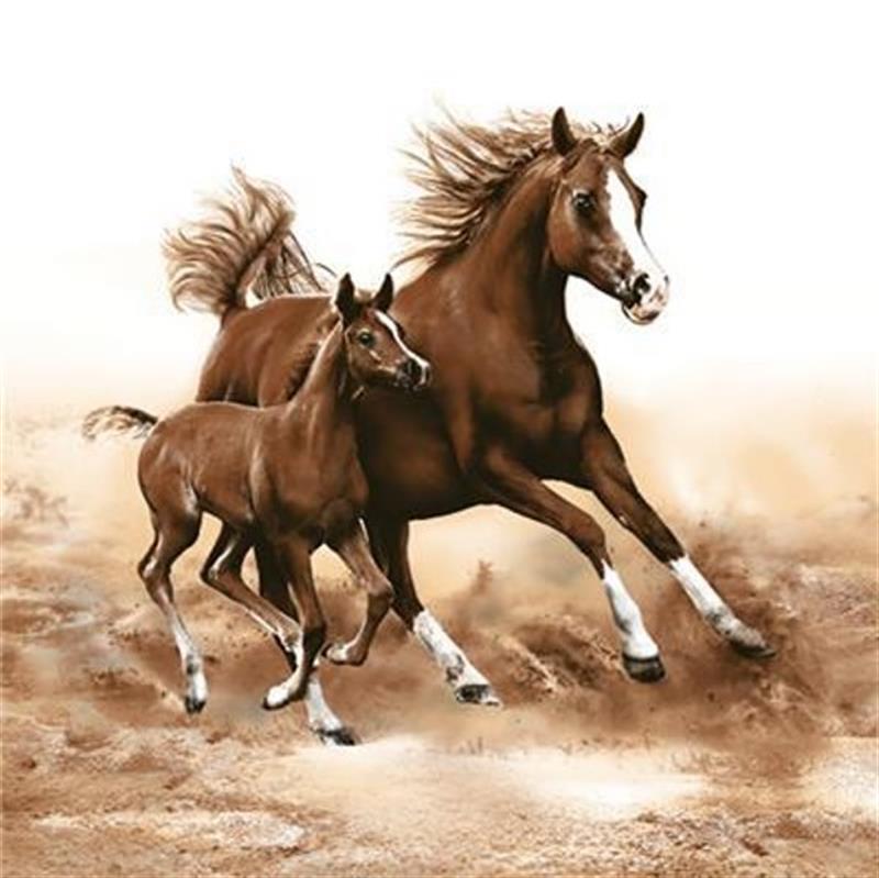 PAPER NAPKINS - HORSES