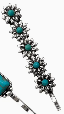 WESTERN HAIR PINS