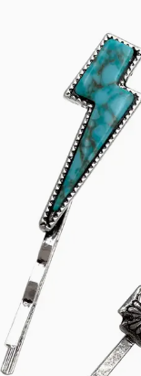 WESTERN HAIR PINS