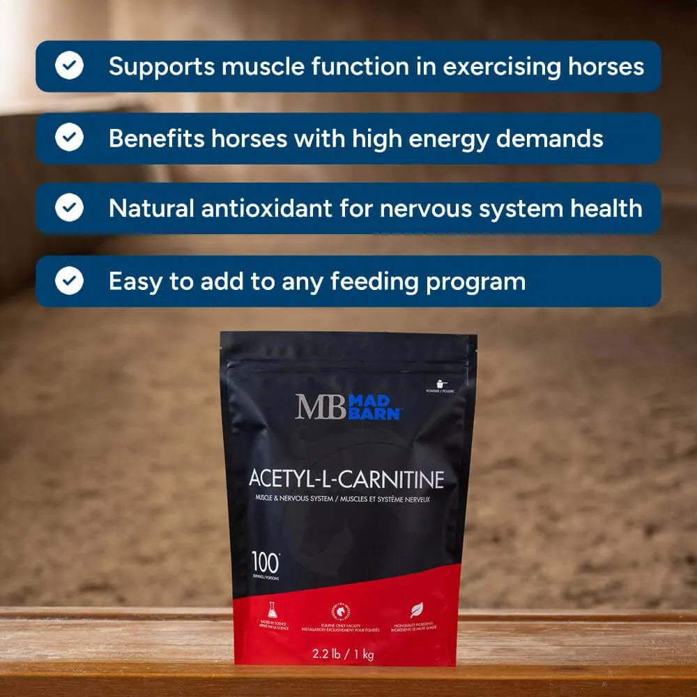 MAD BARN ACETYL-L-CARNITINE