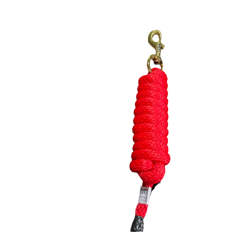 BIG D NYLON LEAD WITH SNAP