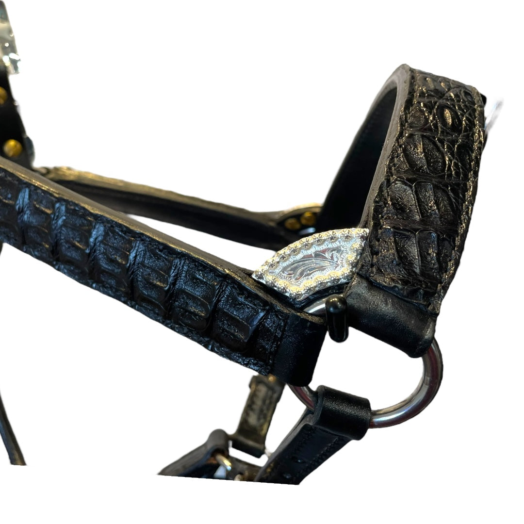 Kathy’s Caiman Show Halter - BROWN 102A