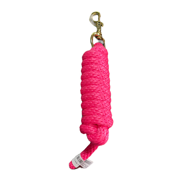 BIG D NYLON LEAD WITH SNAP