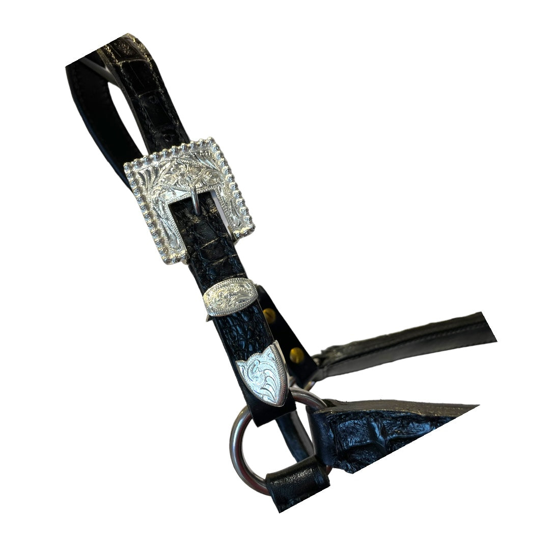 Kathy’s Caiman Show Halter - BROWN 102A