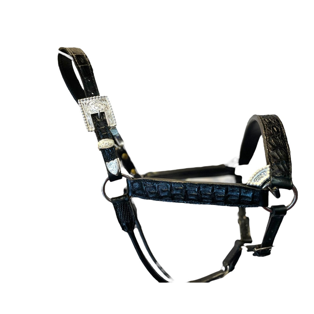 Kathy’s Caiman Show Halter - BROWN 102A