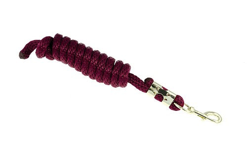 BIG D NYLON LEAD WITH SNAP