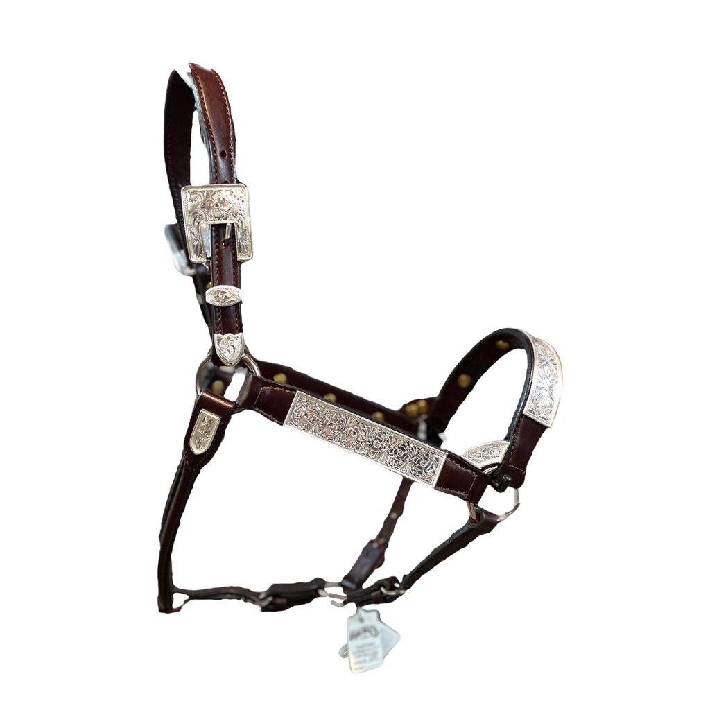 Kathy’s Santana Show Halter #104 - 2 year old/Mare size