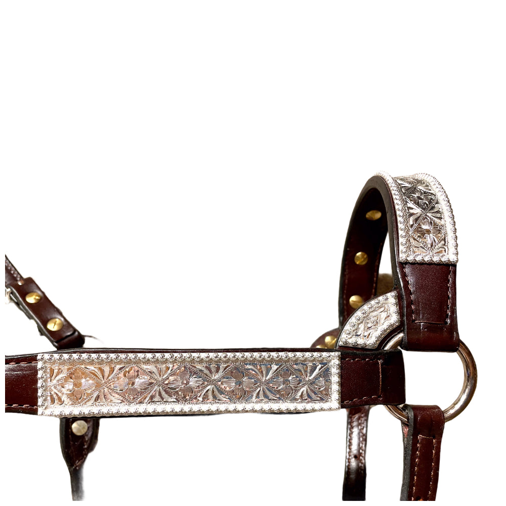 Kathy’s Santana Show Halter #102 2 Year old/Mare Size