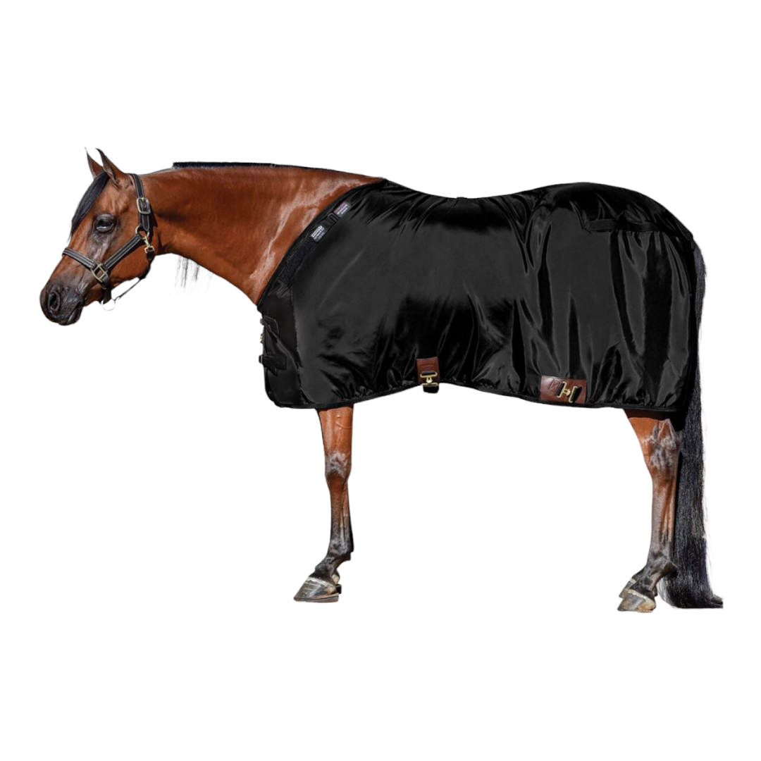 Horse-Blanket, Solid Nylon - 5 Color options Loden / 14