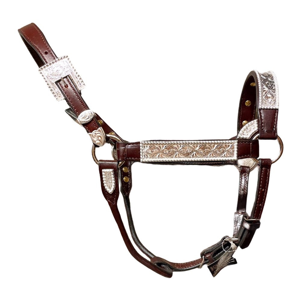 Kathy’s Santana Show Halter #102 2 Year old/Mare Size
