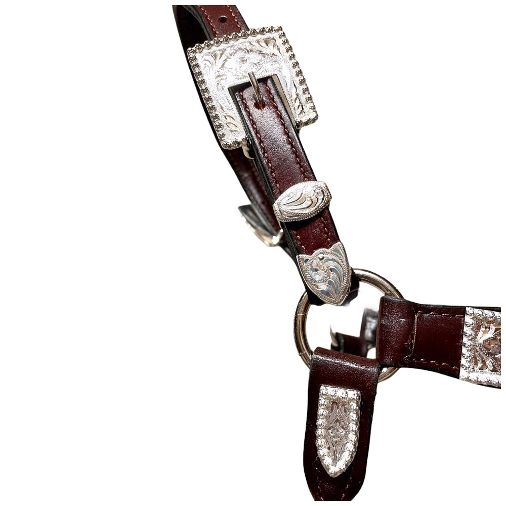Kathy’s Santana Show Halter #102 2 Year old/Mare Size