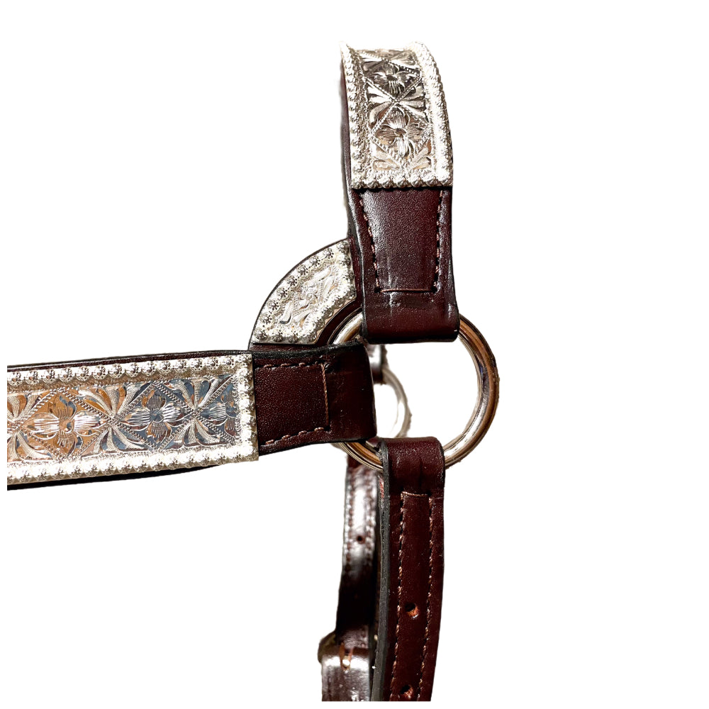 Kathy’s Santana Show Halter #102 2 Year old/Mare Size