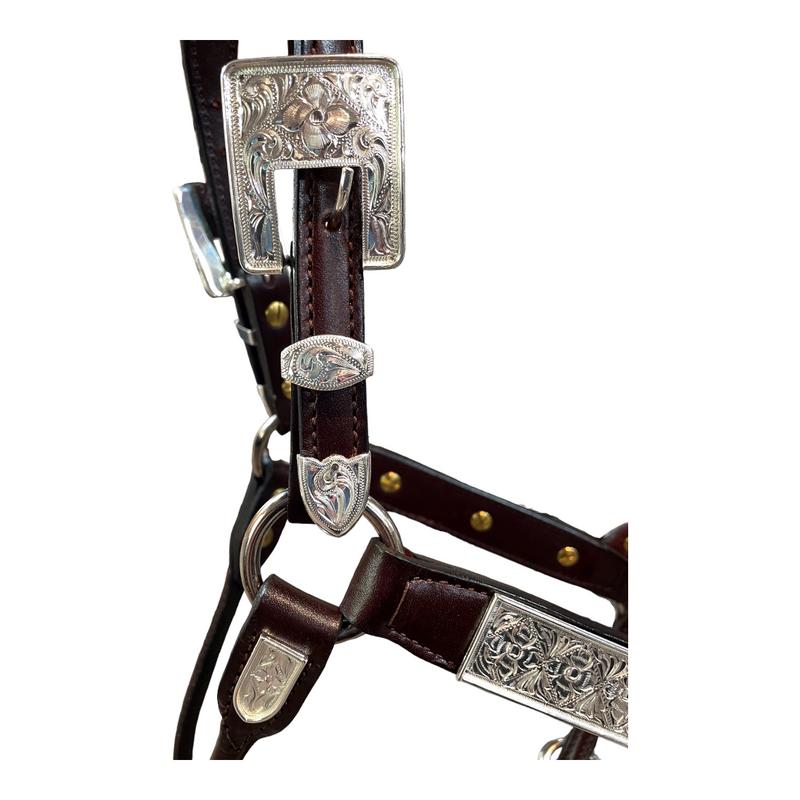 Kathy’s Santana Show Halter #104 - 2 year old/Mare size