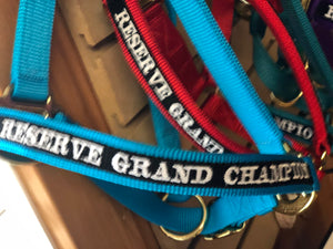 CUSTOM Big D Nylon Halters