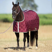 Big D All American Stable Blankets