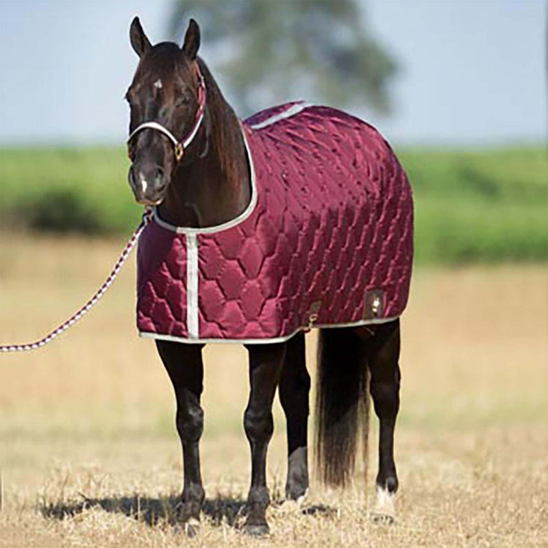 All American Stable Winter Blanket - Maroon – FG Pro Shop Inc.